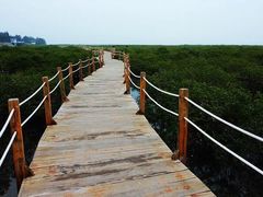 -北海金海湾红树林生态旅游区