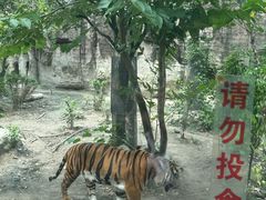 -成都动物园