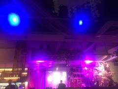 -樱花里音乐餐吧·牛扒椰子鸡(东圃店)
