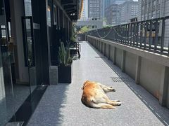 -背包十年青年旅舍(成都太古里春熙路店)
