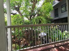 景观位-Fern Forest Cafe