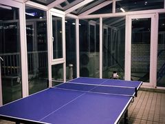 专业乒乓球桌，弹性好，打着痛快-不止轰趴桌游麻将台球(立水桥店)