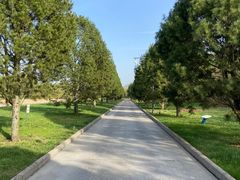 -秦始皇帝陵博物院(兵马俑)