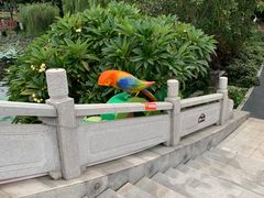 -映月湖公园