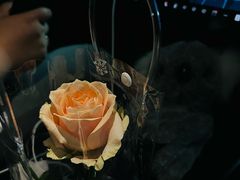 -CHIC1699远洋私厨