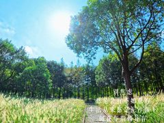 -柳鹭田园区