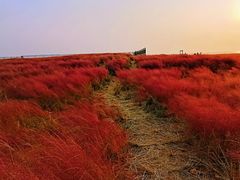 -长岛南北长山旅游景区
