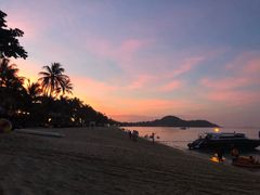 -Coco Tam’s