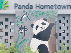 -成都大熊猫繁育研究基地