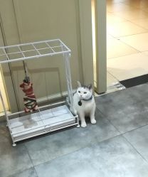 -M Hair造型