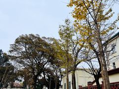 -八大关景区