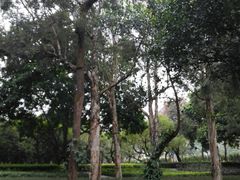 -南宁南湖公园