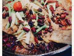 -老板恋上鱼(恒隆广场店)