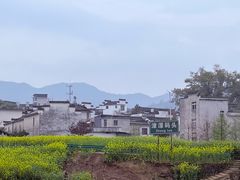 -新安江山水画廊风景区