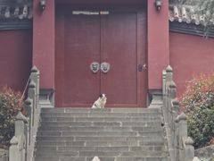 -武当山风景区