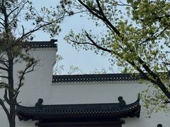 -东湖落雁景区