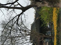 -高子水居
