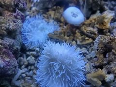 -沙沙哗啦海洋馆(华宇百花谷店)