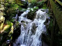 -藏龙百瀑风景区