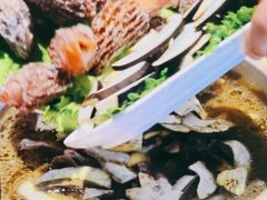 -爱膳菌锅锅(阳南店)