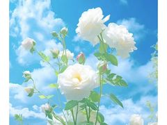 -小八仙·宴(三峡茶庄店)