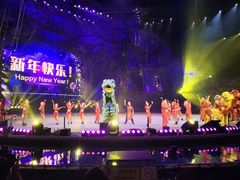 -广州长隆国际大马戏