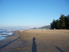 -西涌国际滨海旅游区