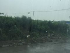 -上海市浦东新区浦东殡仪馆