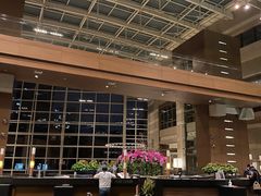 -上海外滩茂悦大酒店