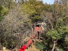 -北京西山国家森林公园