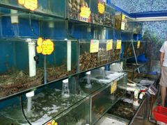 -蚝专家(北滘店)
