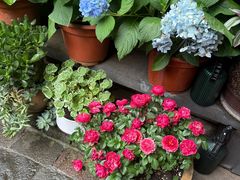 -龙姐私房菜(和顺古镇店)