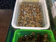 -旺角小渔村(幸福中路店)