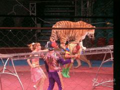 -环球城国际大马戏