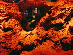 -乐山乌木文化博览苑