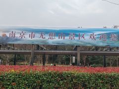 -南京市无想山景区