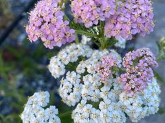 -上海植物园-4号门售票处