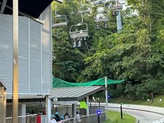 -圣淘沙天际线斜坡滑车