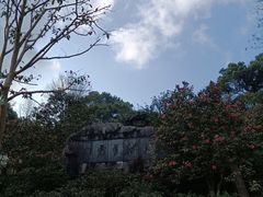 -南山植物园