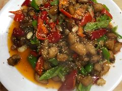 -煲来饱去冷水鱼
