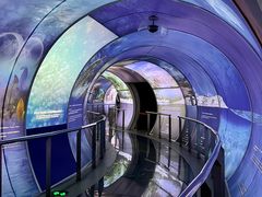 -房山世界地质公园博物馆