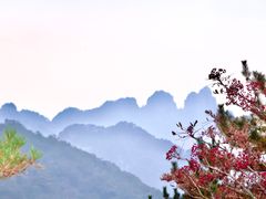 -黄山风景区