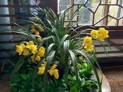 -文杏酒楼(一品天下店)