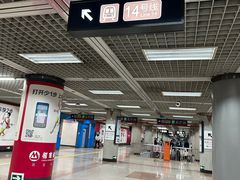 -大望路(地铁站)