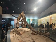 -衢州市博物馆
