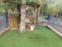 -金山植物公园