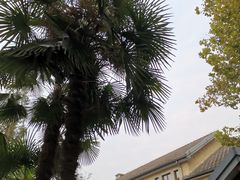 -民国红公馆·艺文空间(颐和路店)