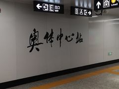 -奥体中心(地铁站)