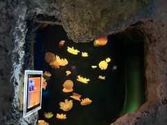 -台州海洋世界