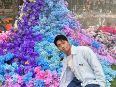 -洛阳白云山景区